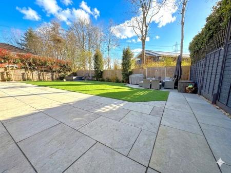 garden 3.jpg