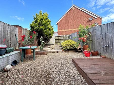 garden 2.jpg