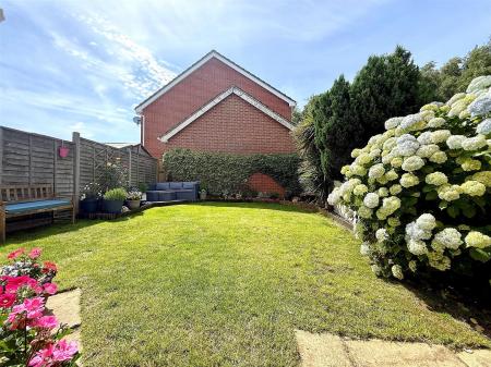 garden 3.jpg