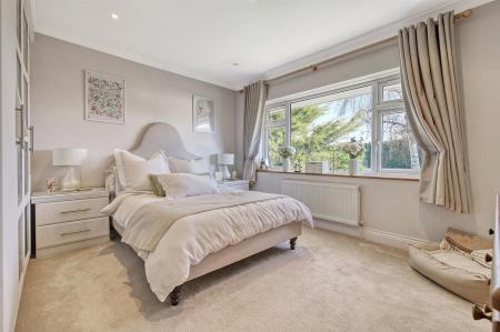 img_0553_21 copy.jpg