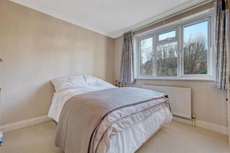 IMG_5727_18 copy 2.jpg