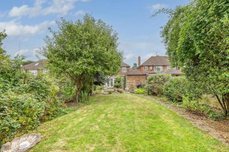 31_img_0132_24 copy 2.jpg