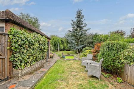 28_img_0113_21 copy 2.jpg