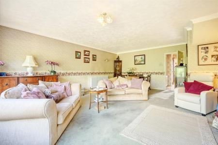 img_0310_10 copy.jpg