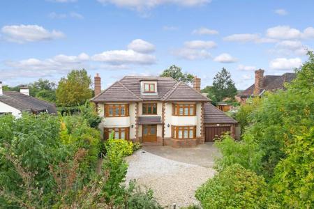 Frontdp (Portal Size).jpg