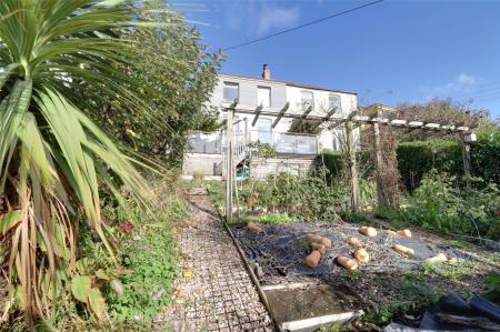 Veg Patch