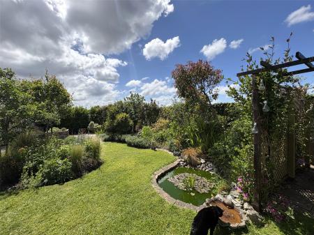 Garden Pond