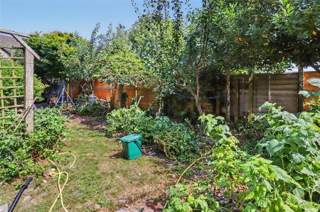 Picture No. 02