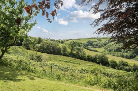 1295211-1-683a007...