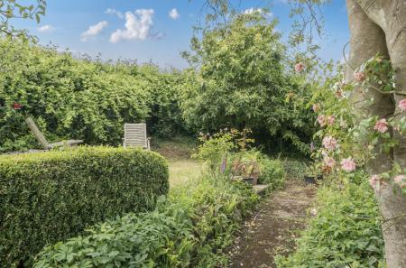 1298578-53-68473f...