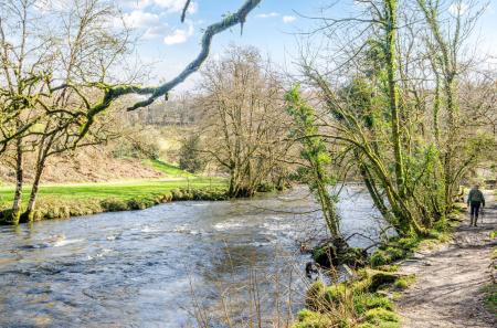 1416854-12-699df3...