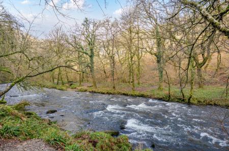 1416854-8-699dea2...