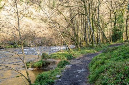 1416854-13-699df3...