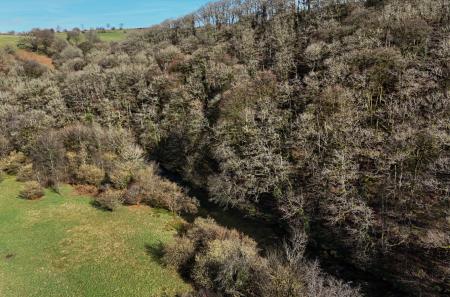 2-699de9cfaac3e-1...