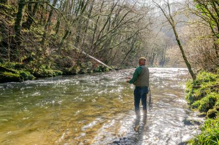 1416854-4-699dea0...