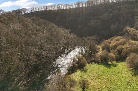 3-699de9d2e5c13-1...