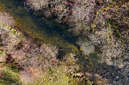 1-699de9cc4dc08-1...