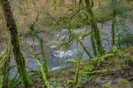 1416854-14-699df3...