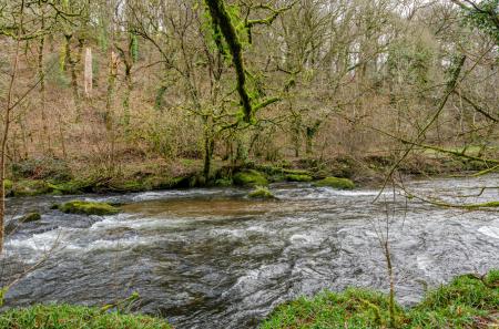 1416854-9-699deaa...