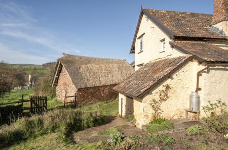 1430387-25-69bb03...