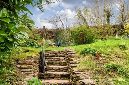 1441914-5-69e1233...