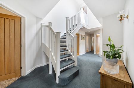 1333382-16-689503...