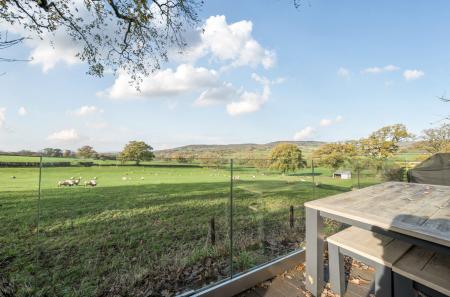 1375631-24-691634...