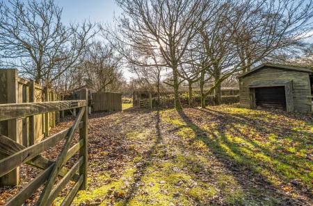 1386146-33-695d19...