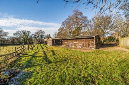 1386146-34-695d19...