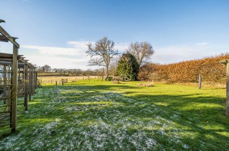 1386146-29-695d19...