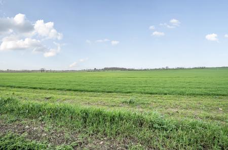 1420745-14-69a1d7...