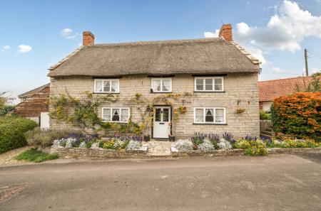 1358937-5-68f0f56...