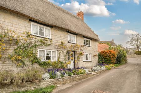 1358937-7-68f0f5f...