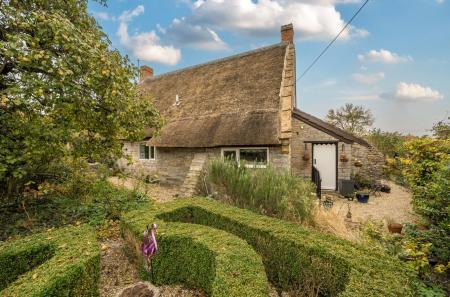 1358937-9-68f0f61...