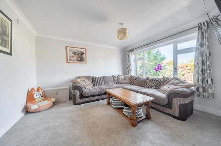 1446881-12-69ebad...