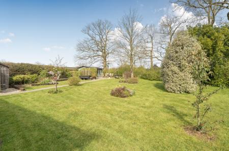 1431850-30-69c185...