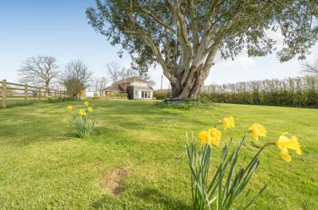 1431850-29-69c185...