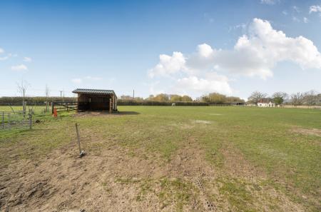 1431850-36-69c185...