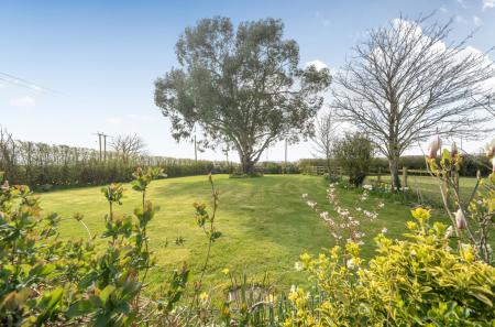 1431850-25-69c185...