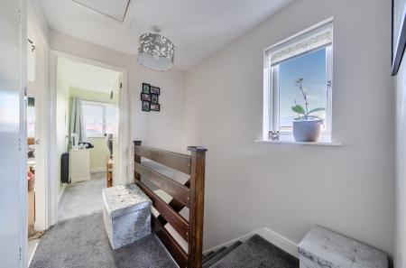 1429031-19-69b45e...