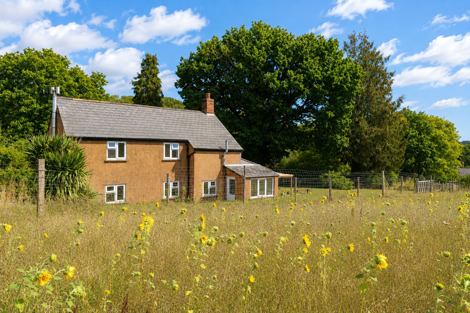 property-img