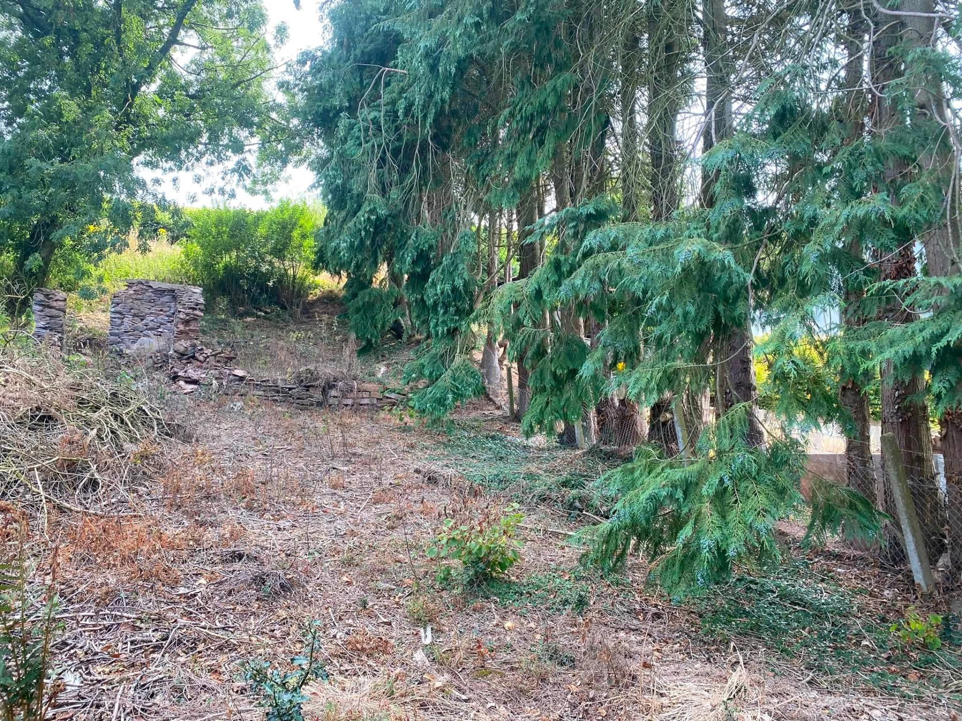 property-img