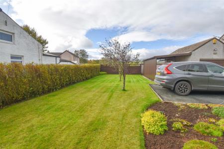 Wynberg Side Garden.jpg