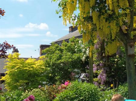 Shearman Garden V2.jpg