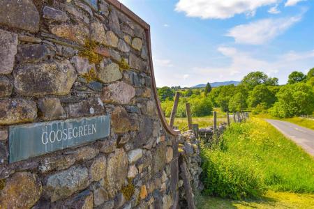 Goosegreen_54[1].jpg
