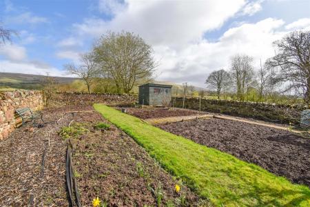 Vegetable Garden