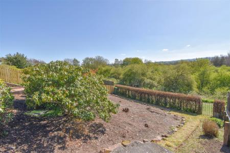 57 Clifford Road Garden D.jpg