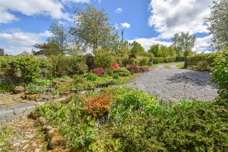 Pine Trees Cottage Garden AA.jpg
