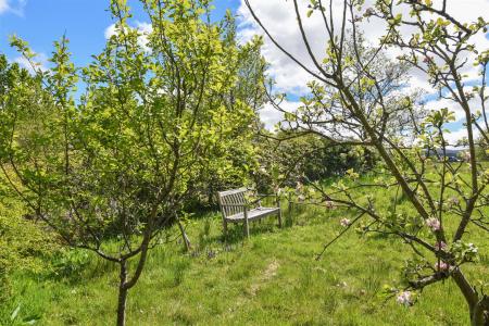 Pine Trees Cottage Garden H.jpg