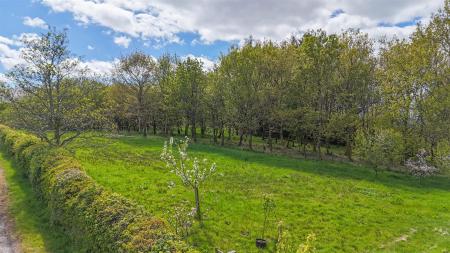 Pine Trees Cottage Aerial D.jpg